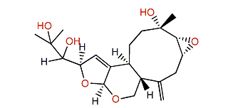 Novaxenicin B